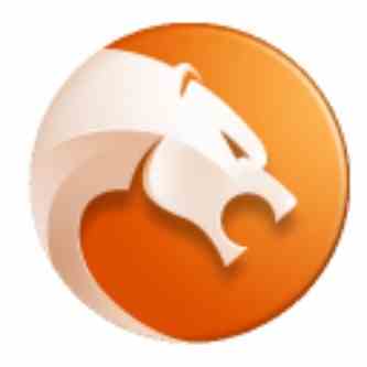 金山猎豹浏览器2017官方正式版