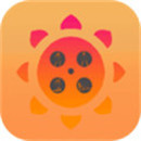 向日葵视频下载app污污安卓免费版：提供暖暖直播免费观看的小猪视频app